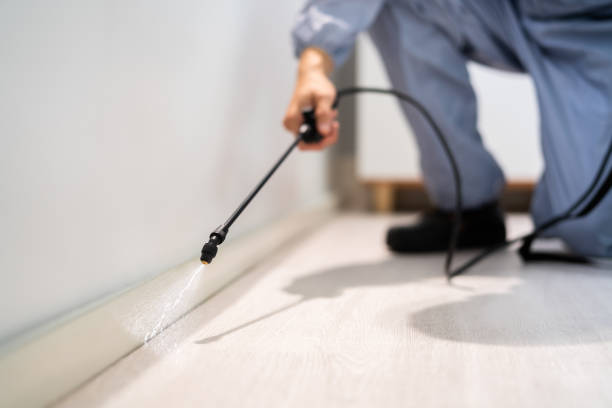 Licensed Pest Control service in Herald, CA - Show Me Pest Control