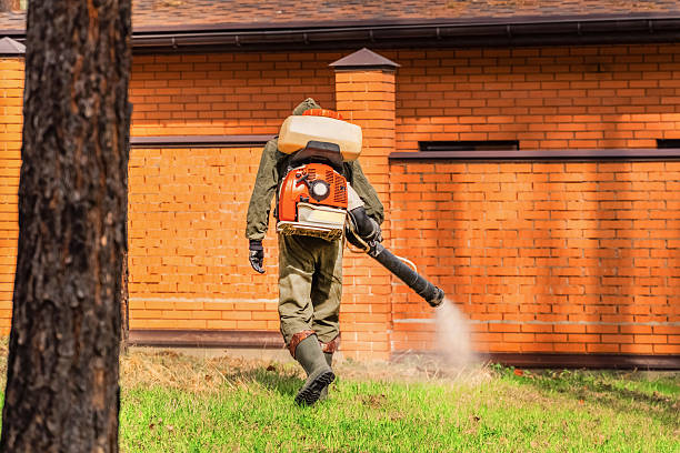 Bed Bug Clearance Verification and Documentation in Herald